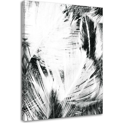 Tableau sur toile Feuillages Abstraction B&W 40x60 (1/5)