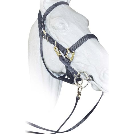 Briglia western in nylon completa di redini e fibbie ottonate: Cob, Nero
