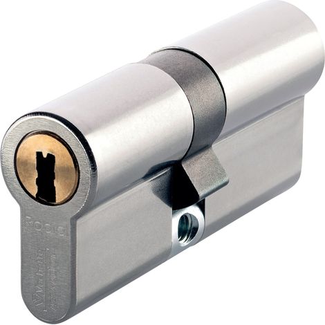 Cylindre 2 entrées RADIAL R 7101 3 clés nickelé varié 42.5 x 42.5 mm - VACHETTE