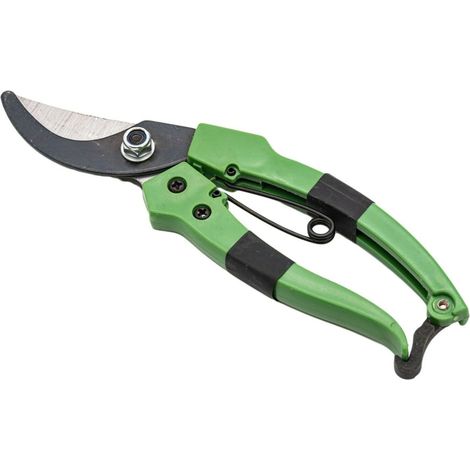 Attrezzi da giardinaggio domestici: Forbici da potatura, forbici da potatura per fiori e alberi, manico verde, attrezzo da giardino standard - verde