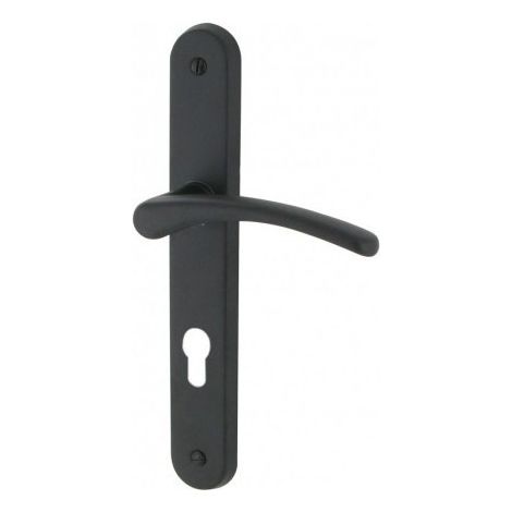 Set maniglia della porta DT2000 su placca CLUSES in alluminio verniciato nero opaco per cilindro