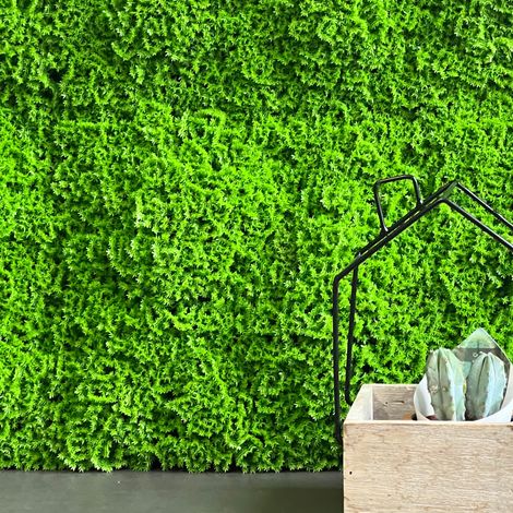 TENAX Divy 3D Muscus 1x1 m Verde, Siepe Artificiale Tipo Muschio, Pannello Componibile per Giardino Verticale (1/4)