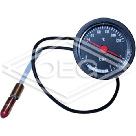 BOSCH Thermo-manomètre, 87172080230
