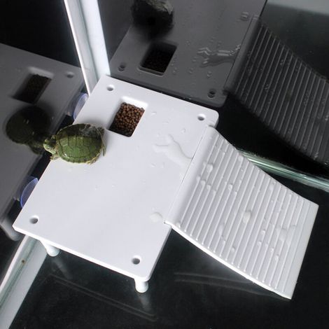 Plateforme Flottante pour Tortue avec Échelle - Décoration pour Terrarium et Aquarium (1/4)
