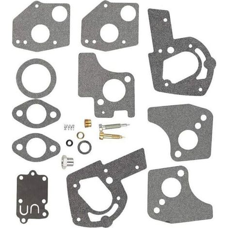 Kit de réparation de carburateur compatible avec Briggs & Stratton 494624 495606 130202 130293. (1/4)