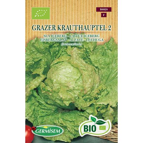 Graines Laitue Iceberg GRAZER KRAUTHAUPTEL 2