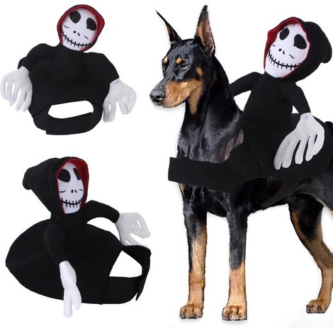 Costume de chien de compagnie vêtements de chien style chevalier avec poupée et chapeau costume d'animal de compagnie d'Halloween M