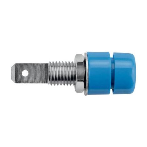 Schützinger IBU 5568 Ni / BL Prise encastrée bleu 1 pc(s) Y150842 (1/2)