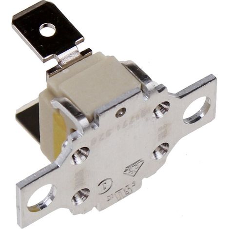 Bosch - limitatore di temperatura 250/400 v / 110 °c - 10004817 -