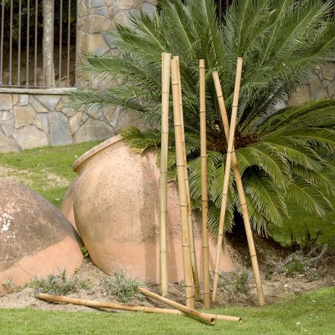 NORT BAMBOO DECO D.85/100MM X 2,4M NT - CATRAL (NORTENE)