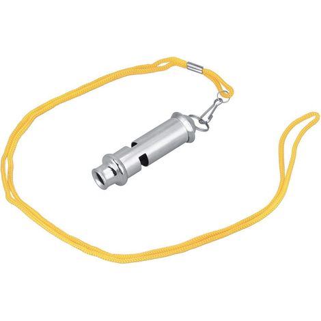 Zyyini Taubenpfeife, Pigeon Whistle, Ultraschall Taubenpfeife Edelstahl Durable Portable mit Lanyard Pet Behavior Training Verhaltenstraining Tool für Vogeltauben Papagei