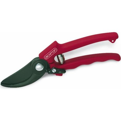 Sécateur professionnel à lame fixe L 210 mm coupe Ø 24 mm (1/2)