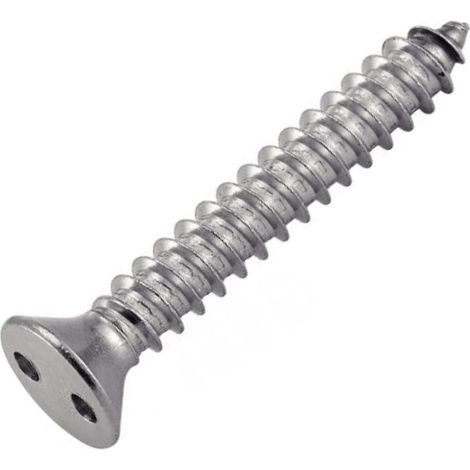 Vis Tôle Inviolable TF 2 Trous "Snake Eyes" 4.2X25 Inox A2 (1/2)