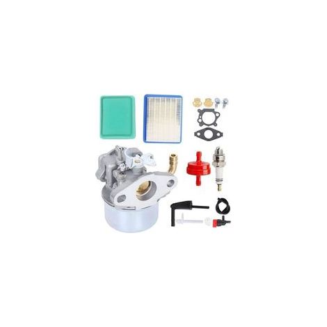PM0401851 Compatible avec carburateur Carb pour moteur Briggs & Stratton série 900 190 cc 205 cc 206 cc