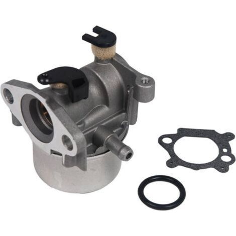 Carburateur - Pour Moteur Briggs & Stratton - Référence 799866 - Remplace 796707 et 794304 - Avec Joint D'Étanchéité - Unité (1/5)