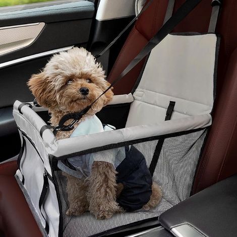 Seggiolino auto rinforzato per cani, traspirante e lavabile, sedile per proprietari di cani di piccola taglia e gatti. (1/5)