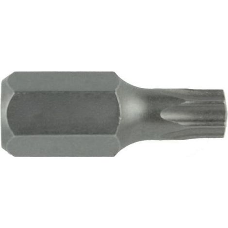 Punta Torx corta - scegli qui: T40 corta