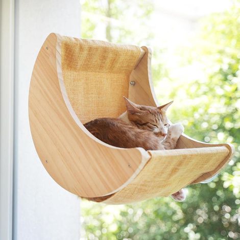 ZENITHMIND Camas para chatos con ventana para chatos de interieur (1/4)