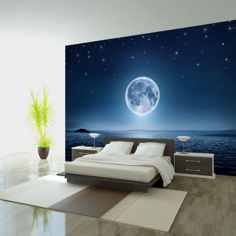 Papier Peint "Moonlit Night" 140 x 200 cm (1/2)