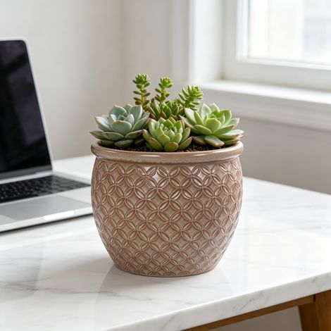 Vaso da pianta in ceramica artigianale (Ø 23 cm), lucido beige con rilievo a moneta, traspirante, resistente al gelo, con fori di drenaggio per piante da interno e da balcone (1/5)