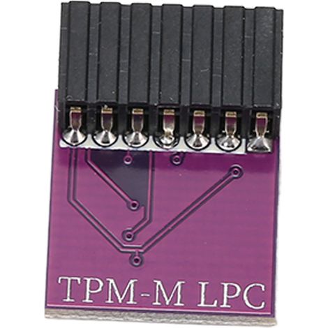 Module de sécurité TPM 2.0 14 broches pour ASUS, interface LPC, compatible Windows 11, couleur violet (1/5)