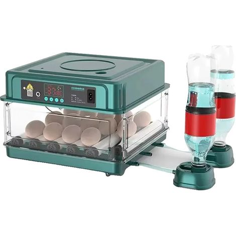 Incubateur automatique, capacité 36 œufs, 15 œufs, pour œufs de volaille, 220V, pour l'incubation à domicile et l'élevage contrôlé de volailles.-AquaForge