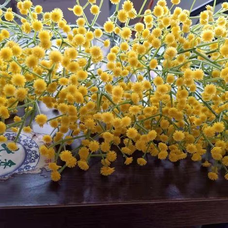 10 flores artificiales de paniculata, ramo suelto de gypsophila en blanco para coronas de boda, decoración de jardín y fiestas en el hogar, color amarillo. (1/5)