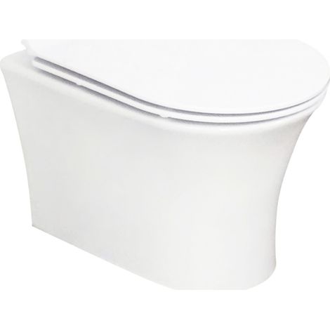 White Rimless Hidden Fixation D Shape Wall Hung Toilet Pan & Soft Close Seat (1/2)