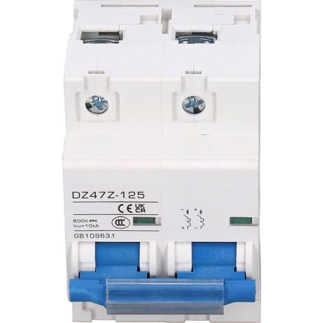 Miniatur-Leistungsschalter 2P 10kA 80A 600V, Hochstrom-Trennschalter für Photovoltaik-Solarmodule und Netzanschluss, D80, Leistungsschalter (1/5)