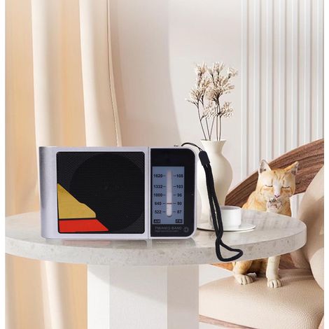 Portable Radio Boîtier ABS Portatif Poids 294g FM AM USB Batterie HiFi Sensibilité Élevée Plage 15x8.7cm Pour Voyage Maison Jardin (1/5)