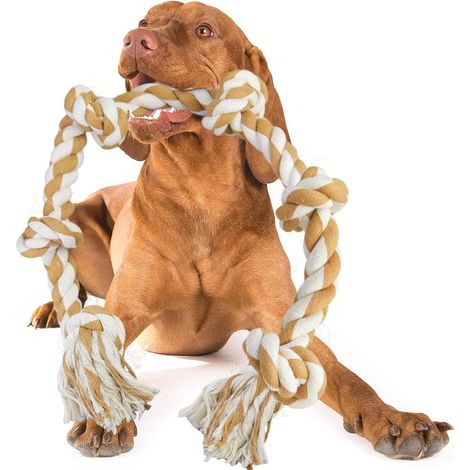 Grande corde à mâcher pour chiens de grande taille, 105 cm, 6 nœuds (1/5)