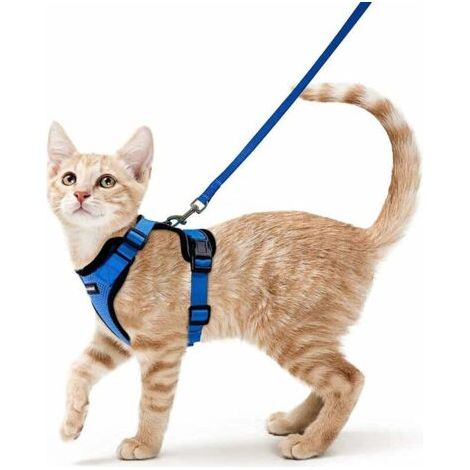 BUNTHAUS Harnais Chat Petit Chien Laisse Harnais Chaton Réglable Bleu XS Collier Harnai Chat Refléchissant Gilet Respirant pour Lapin, Chat Européen, Maine Coon, Persan, Attache Dessus avec Laisse