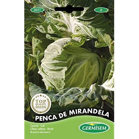 graines Chou PENCA DE MIRANDELA (1/2)