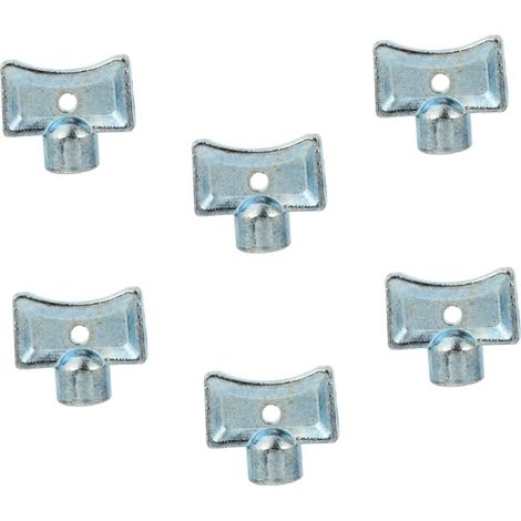 Clé à Radiateur pour Purgeur, Lot de 6, Alliage de Zinc Argenté (1/4)
