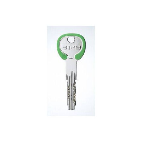 10PZ CHIAVI SILKY COLOR CS204DZ OLC