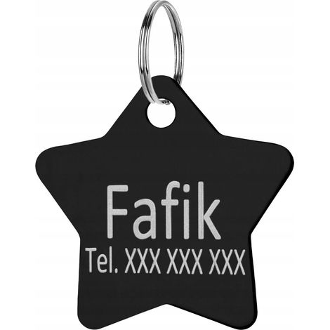Colgante con etiqueta de nombre y estrella grabada para collar de perro y gato con nombre (1/5)