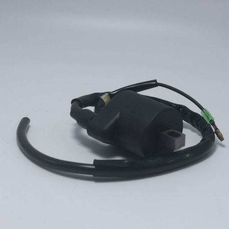 Transformateur haute tension accessoire moto pour bobine d'allumage WAVE125 XRM125 (1/2)