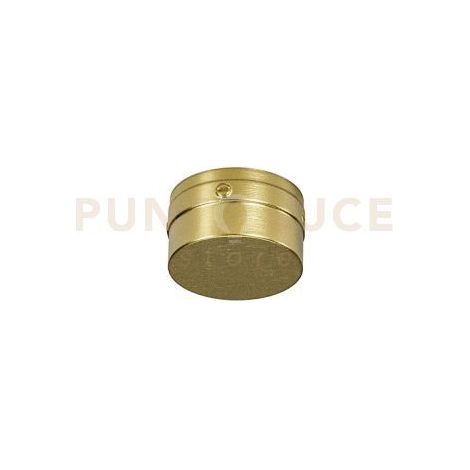 GSTPT6- TAPPO DI CHIUSURA SENZA USCITA PER STRISCE LED COLORE ORO
