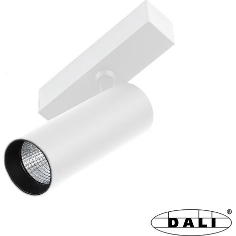 NESO HOLE 10W 2700K 36° blanco DALI