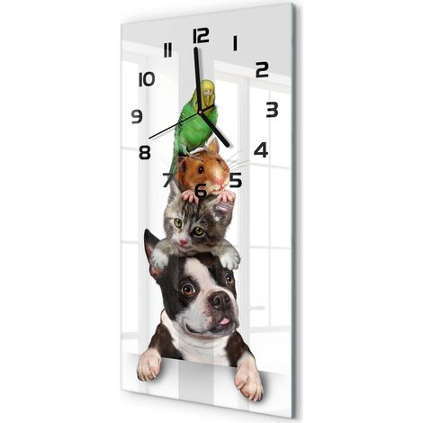 Horloge Murale Rectangulaire Verticale Lecture Facile Verre Moderne Animaux de compagnie 30x60 cm (1/5)