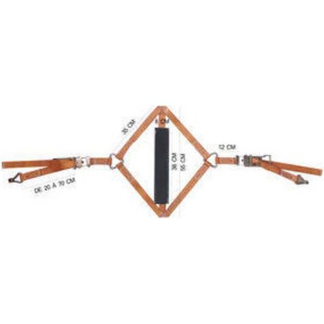 Maxter – Set de fixation moto pour roue arrière – Sangle 35 mm – Sac de transport inclus – Sécurisation optimale pour transport