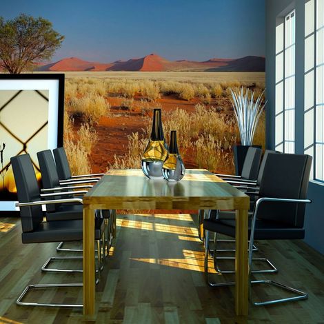 Papier peint paysage du désert, namibie - 400 x 309 cm (1/4)