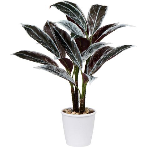 Briful 63CM Künstliche Cordyline Fruticosa Dekorative Tropische Kunstpflanze in (1/5)