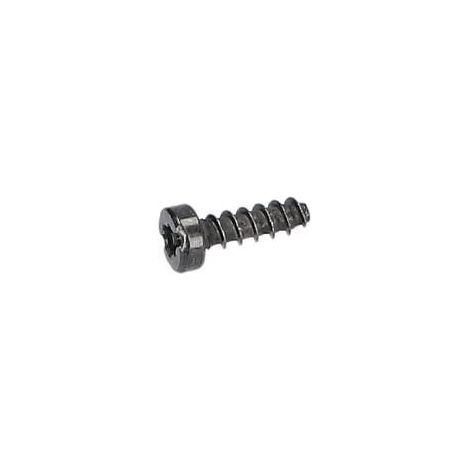 Vis a tete bombee torx pour Marteau perforateur BOSCH OUTILLAGES - 1619P00220