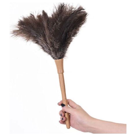 Plumeau en plumes d'autruche naturelles et moelleuses avec manche en bois, outil de nettoyage ménager (1/4)