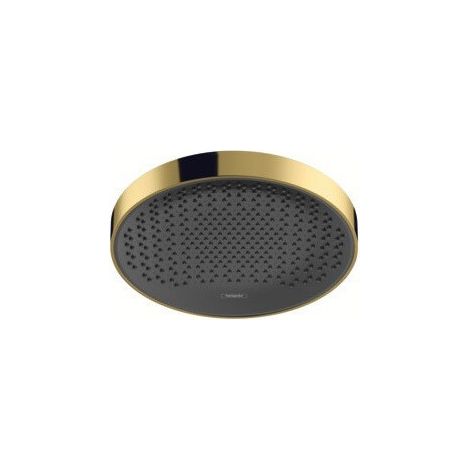 tête de douche 360 1jet aspect doré poli