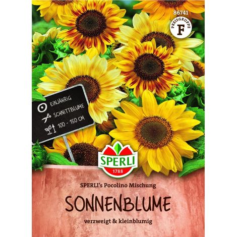 Sperli – Tournesol 'SPERLI's Pocolino' en mélange (Helianthus debilis) – Graines, 1 portion