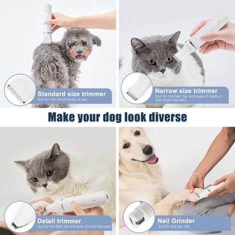 4 en 1 Tondeuse Chien Professionnelle: Silencieuse Tondeuses pour Chiens Étanchéité IPX7,Sans Fil Fondeuse Toilettage pour Animaux avec Câble USB Rechargeable pour Chat et Autres Animaux de compagnie (1/5)