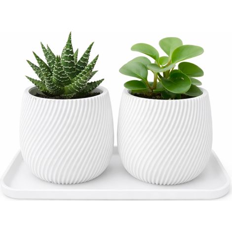 Ensemble de 2 mini pots de fleurs avec une soucoupe blanche (1/3)