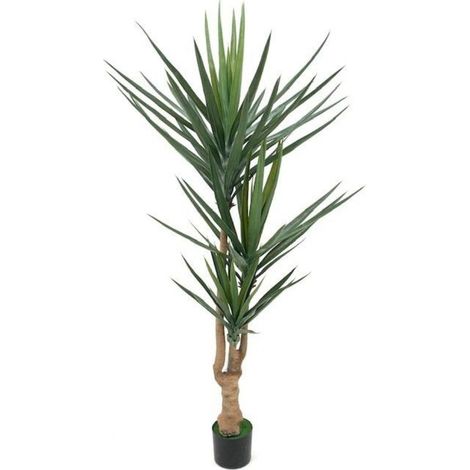 Pianta ornamentale Yucca 180 cm 79 foglie con vaso